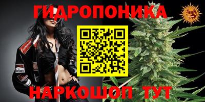 МДПВ Мариинск