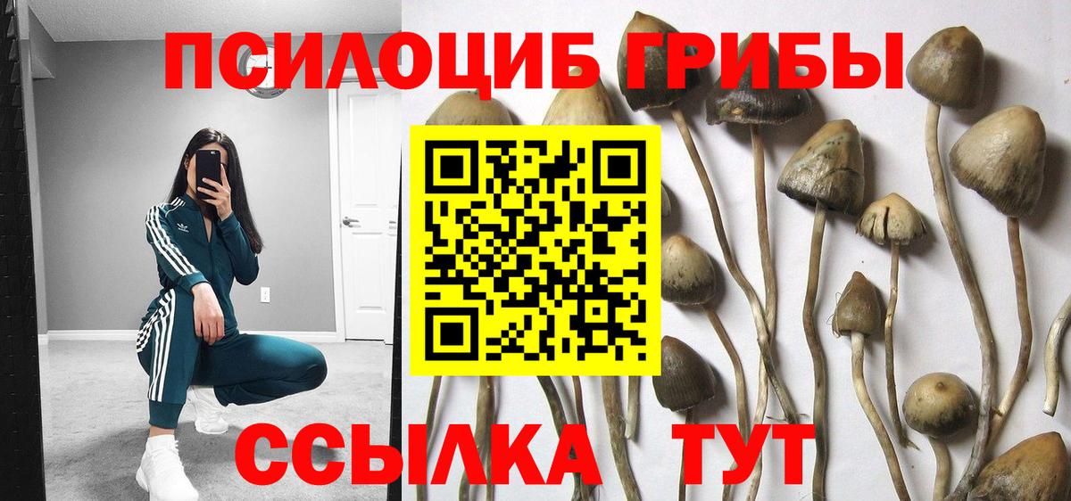 Елабуга  Галлюциногенные грибы прущие грибы  Вход с VPN 