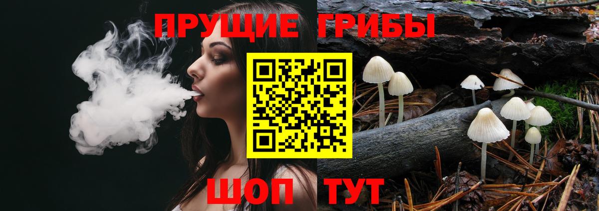 Галлюциногенные грибы Psilocybine cubensis Елабуга
